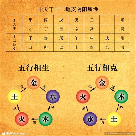 五行 相剋 夫妻|五行相生相剋3大重點｜了解五行，改善生活大小